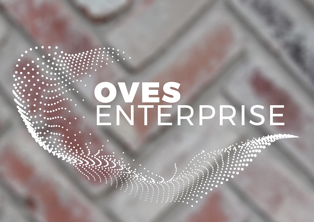 Romanian software company OVES Enterprise expanding to the US to develop military drones