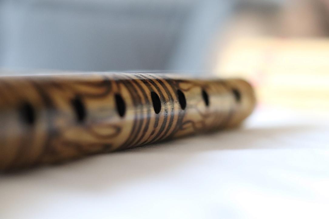 Romanian village to host museum of local, global traditional whistles
