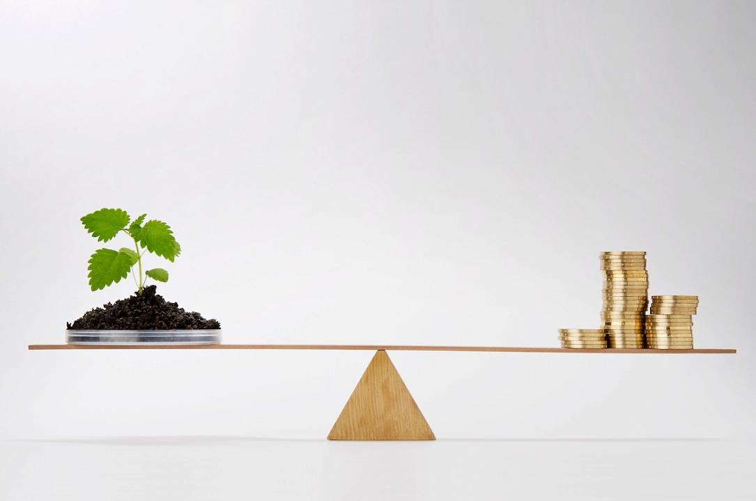 Statistics office: Romania spent 1.9% of GDP on environmental protection in 2024