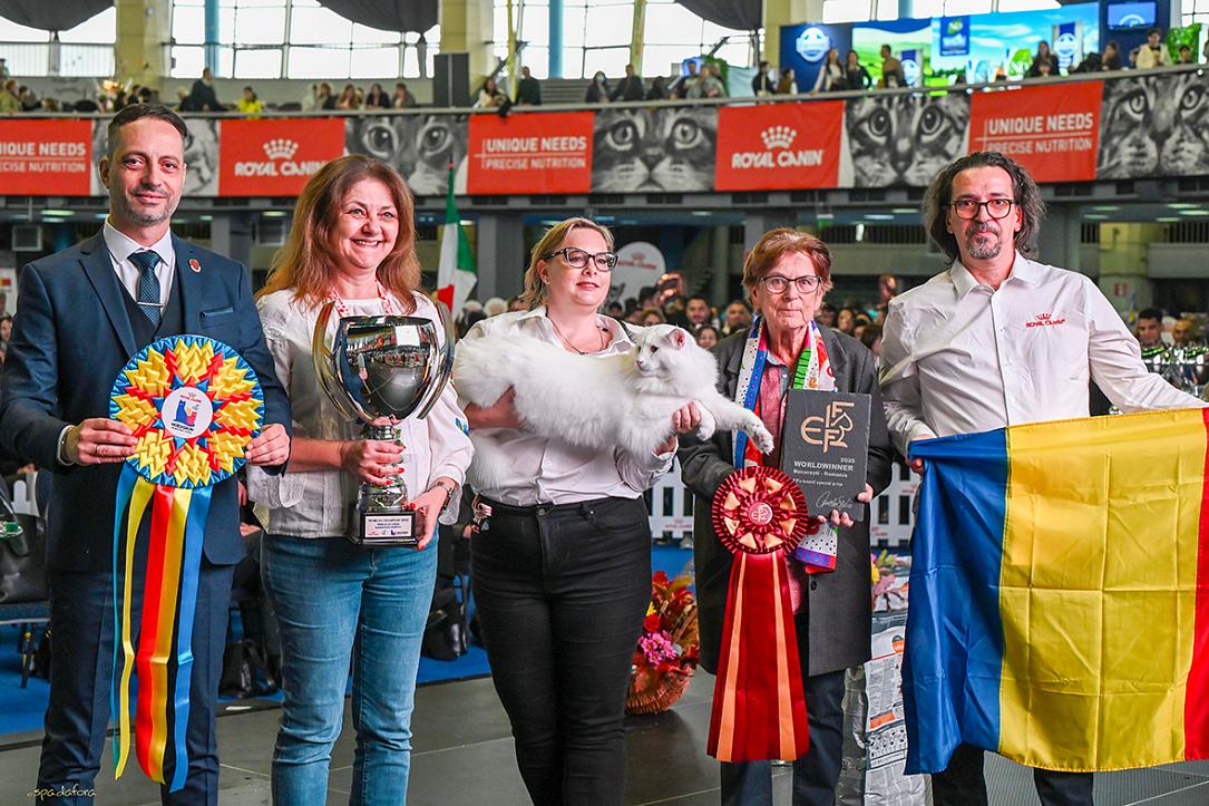 Three cats from Romania crowned the most beautiful in the world