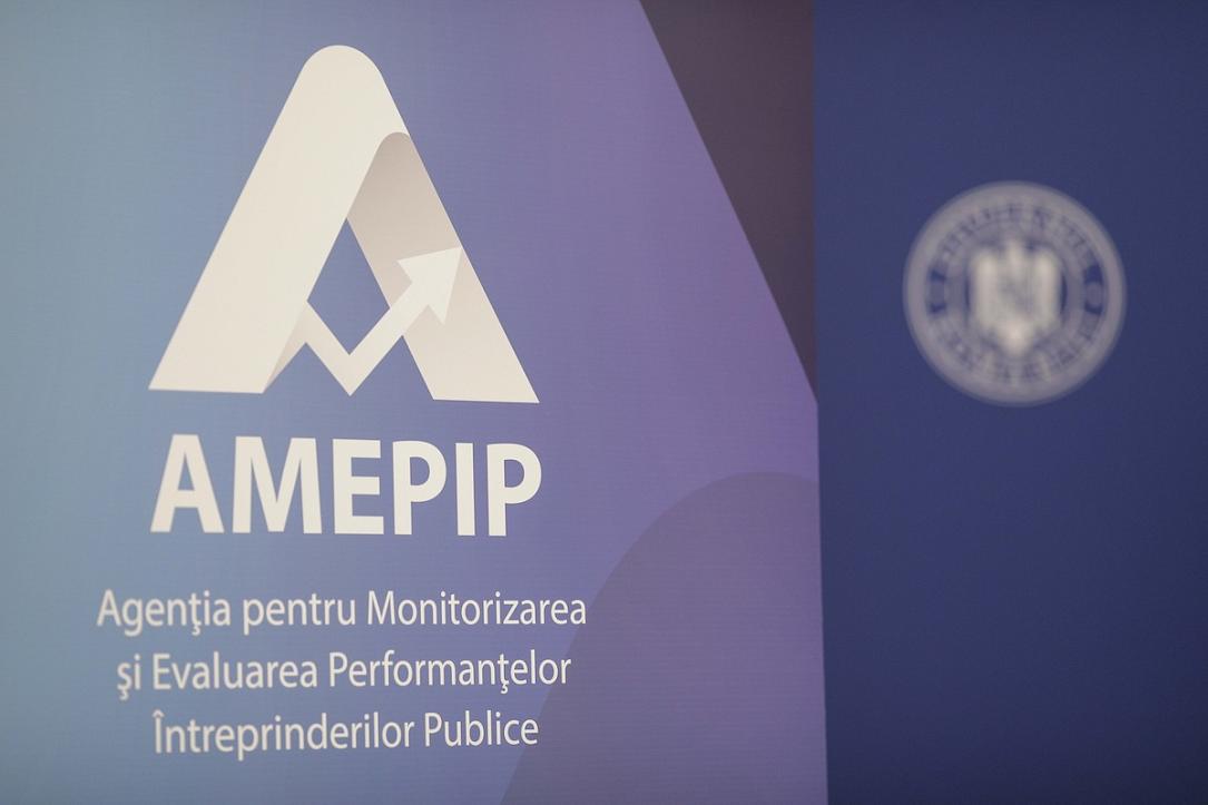 Romania's government appoints heads of agency for monitoring state companies AMEPIP