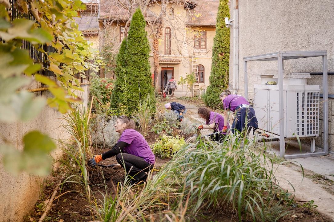 WWF launches pollinator-friendly planting campaign in Bucharest