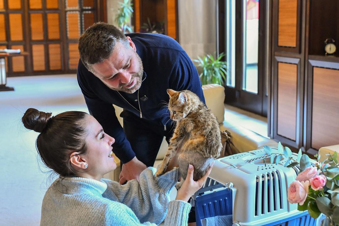 Bucharest's general mayor adopts cat for the City Hall