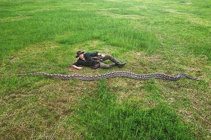 Romanian explorer registers longest wild snake ever measured in Guiness World Records