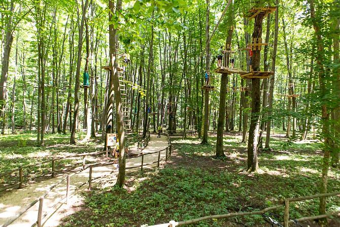 Adventure parks near Bucharest: where to go to test your limits ...