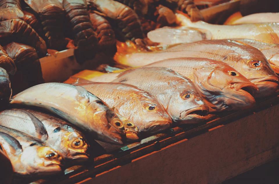 Romanians eat 6 kilos of fish per year, mostly around religious